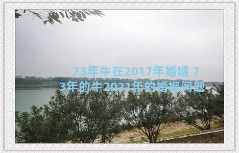 73年牛在2017年婚姻 73年的牛2021年的婚姻问题